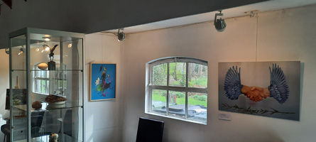 Expositie 'Vreemde vogels'